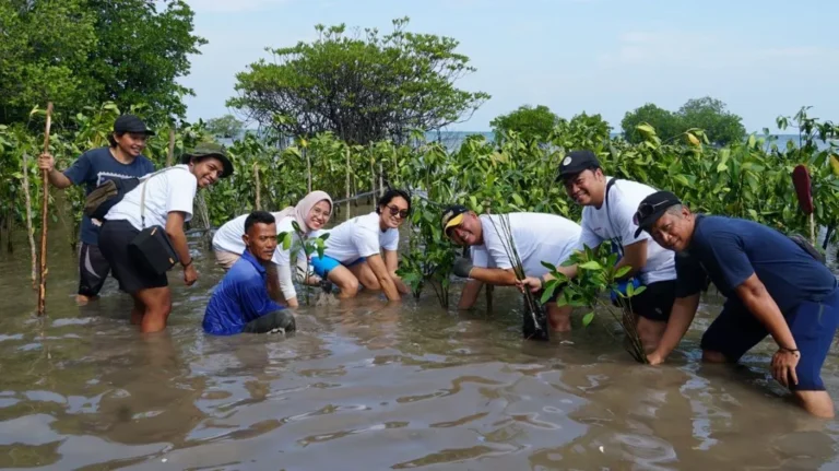 Perwakilan-Sharp-bersama-masyarakat-setempat-melakukan-penanaman-bibit-pohon-mangrove-di-Pulau-Tunda-1068x599