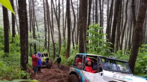 087658000_1551784387-IMG-20190305-WA0062-300x169