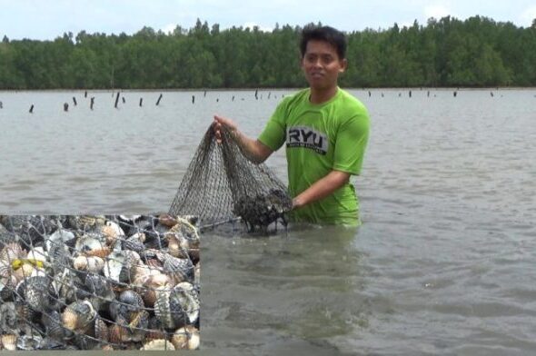 KUKAR-Tambak-Kerang-696x392